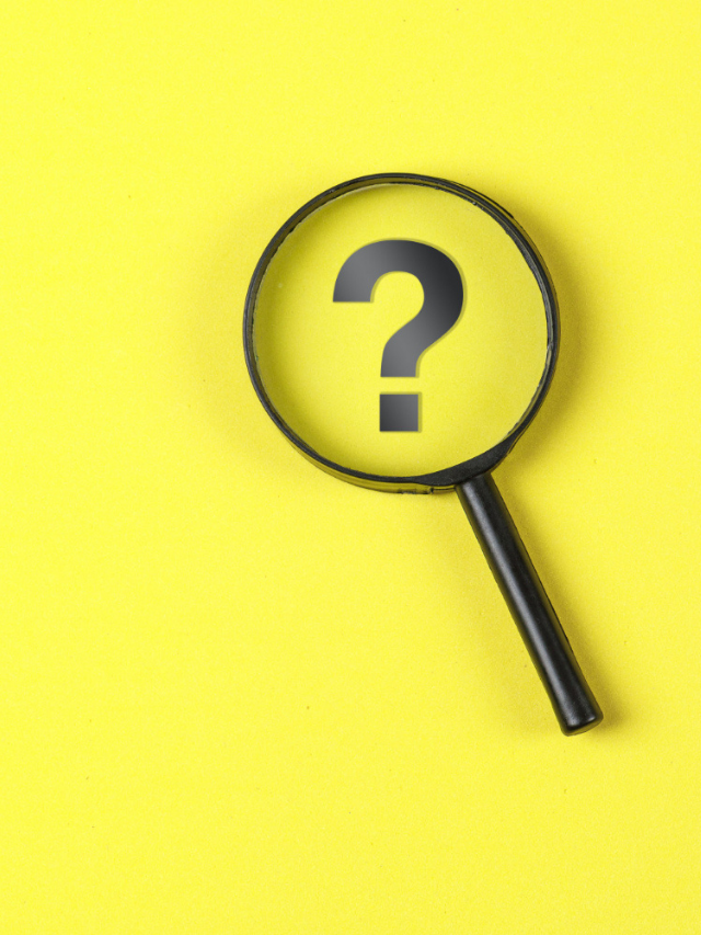 Untitled design (22)