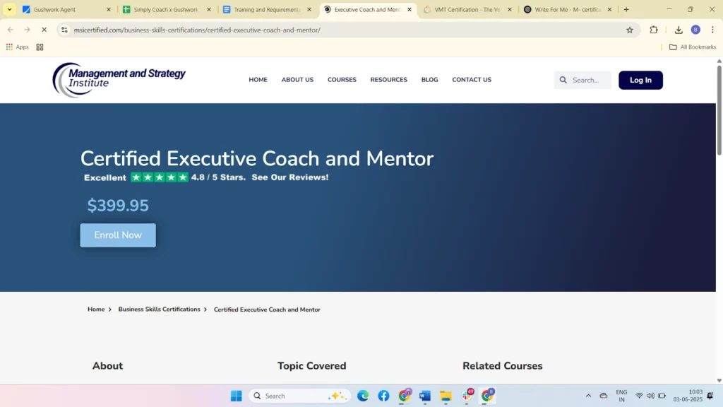 Certified Executive Coach and Mentor (CECM) – Management and Strategy Institute
